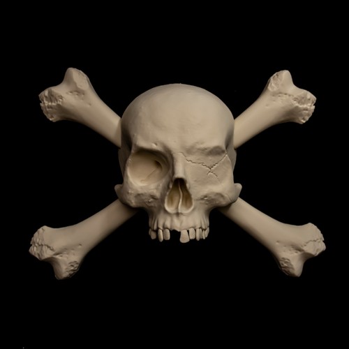 Pirate skull crossbones - pirate,