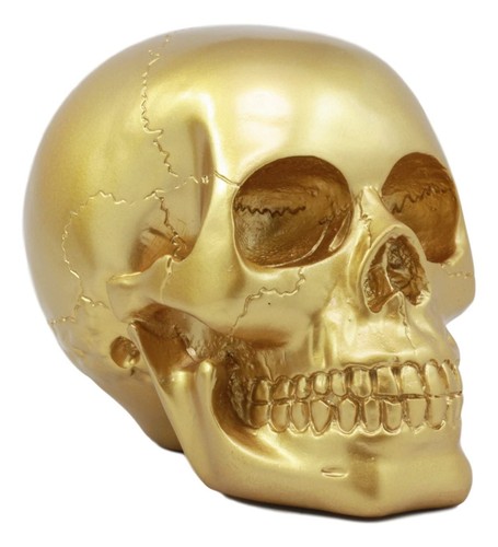 Ebros pirate bottino - ebros, oro